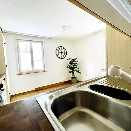 Beautiful Old Building In The Center サンクト・ガーレン