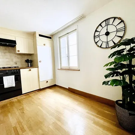 Schone Altbauwohnung Im Zentrum * St. Gallen