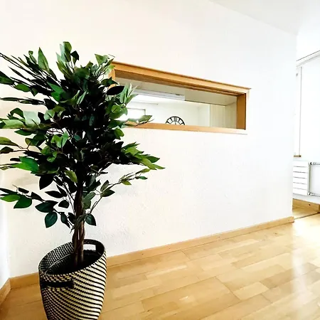 Apartment Schone Altbauwohnung Im Zentrum *