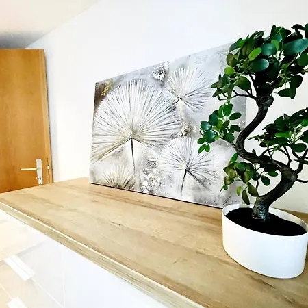 アパート Beautiful Old Building In The Center サンクト・ガーレン