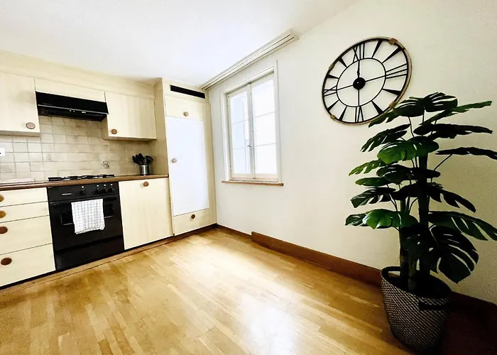 Beautiful Old Building In The Center * Sankt Gallen