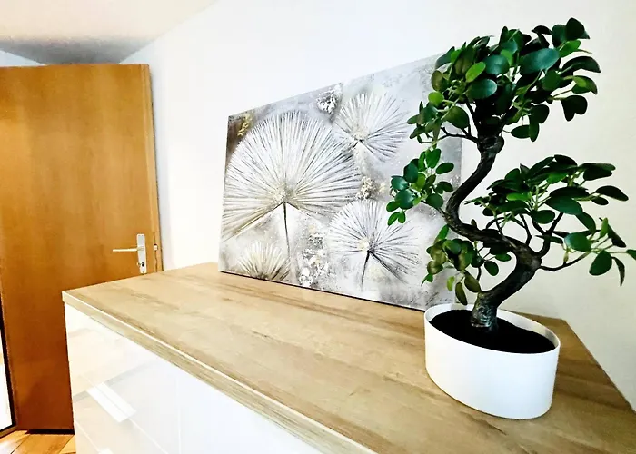 Apartment Beautiful Old Building In The Center St. Gallen